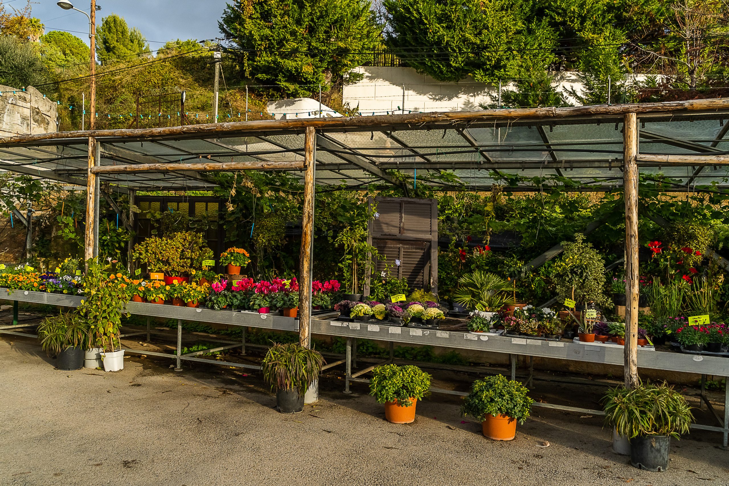 jardin des saveurs nice les amazones-22