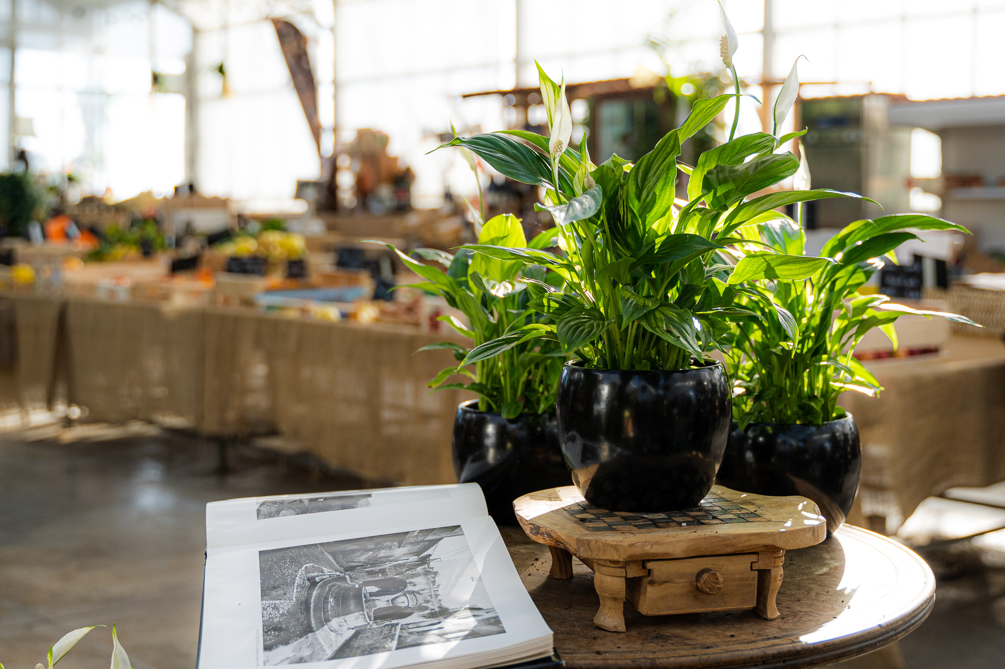 Fleurir son intérieur apporte douceur de vie et repos
